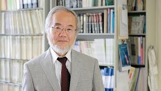 Yoshinori Ohsumi vence Prémio Nobel da Medicina 2016 [upl. by Hoover]