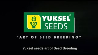 Yuksel Seeds video officielle en Français [upl. by Anialram24]