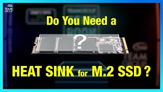 Do You Need a Heat Sink for M2 SSD [upl. by Shig]