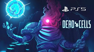 Consegui pegar a 1º CELULA de chefe DEAD CELLS [upl. by Tabatha167]