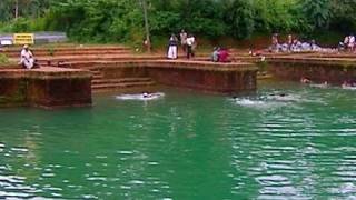 Temple pond of Lokanarkavu Bhagavathy temple  Vadakara Kozhikode  Vadakkanpattu [upl. by Asiole751]