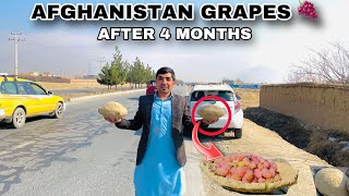 Kabul Mazari Sharif Highway Update  Stored Grapes For four months  Afghan vlog [upl. by Ivy]