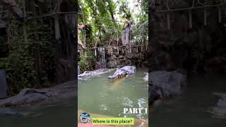 Explore the WILDEST Safari World in Bangkok [upl. by Algernon]