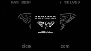 Cicada 3301 officially solved [upl. by Niki]