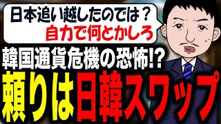 【6月末に日韓通貨スワップを再開で合意❓期間は３年、規模は１００億ドル😱】瀬戸際の韓国経済で通貨危機の恐怖！？第2のIMF危機にざわめく韓国… [upl. by Laefar]