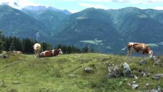 SuperschönJochalm Wanderung KärntenGailtalReisachAlpenferienpark [upl. by Jecho427]