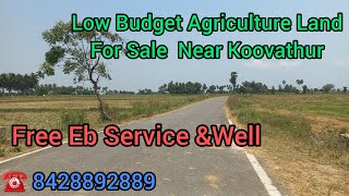 No64 Agriculture Land For Sale Near Koovathur Free Eb service amp Well 15 Acres 👉 8428892889 [upl. by Behnken493]