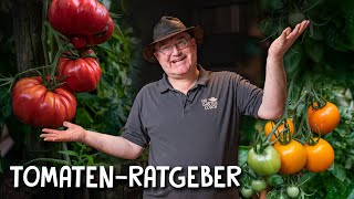 Die besten Tomatensorten für DEINEN Garten 🍅  Freiland Balkon amp Gewächshaus [upl. by Gabriellia]