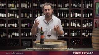 What is MALBEC What You NEED TO KNOW about this Wine [upl. by Enyale301]