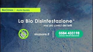 La Bio Disinfestazione delle Cimici dei letti ad Azoto liquido [upl. by Oremo]