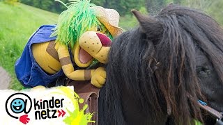 Reitstunden auf dem Bauernhof  OLIs Wilde Welt  SWR Kindernetz [upl. by Nairred]