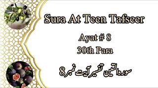 Sura At Teen Ayat 8 Tafseer 30th Para【noorulhudaonlineAcademy 】 [upl. by Akehs]