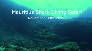 Mauritius Shark Diving Safari [upl. by Hekking134]