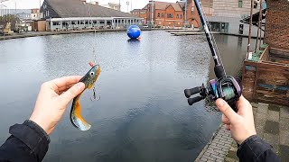 InnerCity Pike Fishing 🇬🇧🐊 [upl. by Ahsinak]