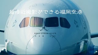 超接近撮影！軍用から旅客まで。超多忙な福岡空港の滑走路 2014816 [upl. by Wilkins953]