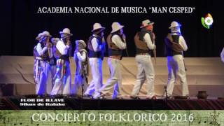 Concierto folclórico 2016 [upl. by Caria711]