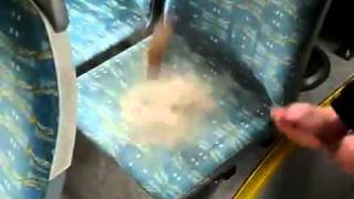 Dust on in the bus seat [upl. by Francis848]