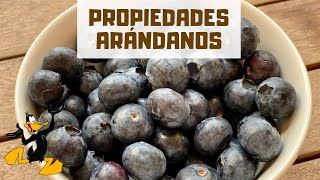 10 Propiedades de los Arándanos 🫐 ¡BENEFICIOS [upl. by Aynor]