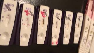 EARLY PREGNANCY Tests  2 dpo  8 dpo  Positive Evap or Indent Lines  Line Progression [upl. by Hilel]