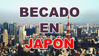 Como fue conseguir una BECA para estudiar en JAPÓN [upl. by Darton]