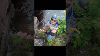 Big Bass in Canada smallmouthbass smallmouthnation ontario branchsseineriver [upl. by Missie]