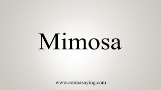 How To Say Mimosa [upl. by Ahsetal312]