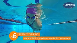 Esercizio DELFINO gambe delfino una bracciata delfino e una rana [upl. by Ekeiram]