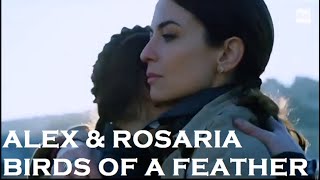 Alex amp Rosaria  Birds of a Feather [upl. by Tarra]