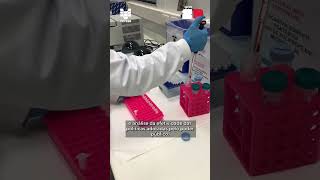 Laboratório de Microbiologia e Parasitologia da Cetesb [upl. by Ennagem639]