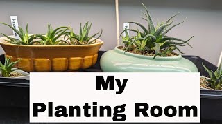 Hang Out With me While I Tidy the Planting Room and Repot Some Plants [upl. by Attevaj]