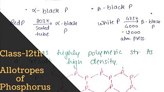 Allotropes of phosphorus  full concept   p block Elements  Class12th  Bharat Panchal [upl. by Cleodal]