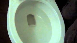 2356 1990 American Standard Cadet Pressure Assist Toilet wPush Button on Lid Reshoot Moms POV [upl. by Atsyrk]