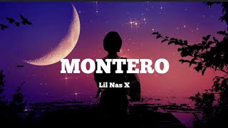 Lil Nas X  MONTERO  Lyrics [upl. by Sutelc128]