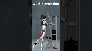 Top 5 Hip Exercises with Cable hipworkout buttworkoutforwomen bellyfatloss [upl. by Zeb]