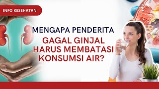 Mengapa Pasien Gagal Ginjal Harus Membatasi Konsumsi Air Inilah Penjelasannya  INFO KESEHATAN [upl. by Anilocin]