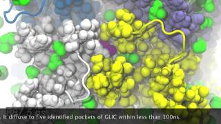 MD simulation of the Ion Channel GLIC Bromoform Binding [upl. by Liv]