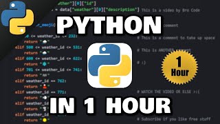 Learn Python in 1 hour 🐍 2024 [upl. by Lucier]