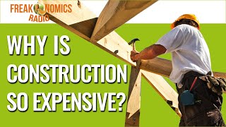 566 Why Is It So Hard and Expensive to Build Anything in America  Freakonomics Radio [upl. by Longan906]