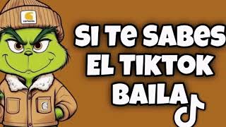 Si Te Sabes El Tiktok Baila  2024 [upl. by Lubet393]