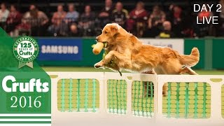 Day 2 Live  Crufts 2016 [upl. by Shiekh303]