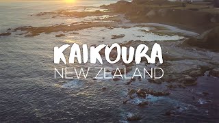 Exploring Kaikoura  New Zealand [upl. by Torr]