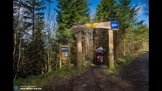 On The Pulse Rostrevor  Northern Irish Downhill [upl. by Elnukeda]