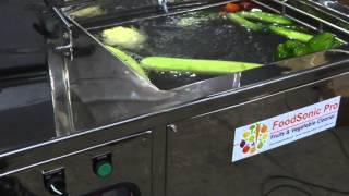 Ozone washer amp Sonic Cleaning of Fruits amp Vegetables [upl. by Yenduhc131]