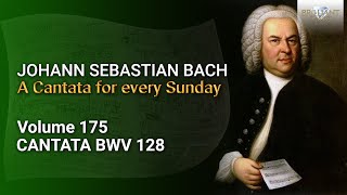 JS Bach Auf Christi Himmelfahrt allein BWV 128  The Church Cantatas Vol 175 [upl. by Jeniffer25]