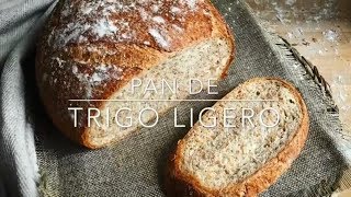 Pan de trigo ligero [upl. by Odnam]