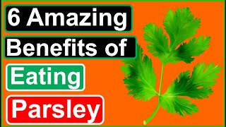 Parsley 6 Health Benefits You Need to Know [upl. by Ahcurb]