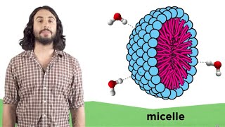 The Laws of Thermodynamics Entropy and Gibbs Free Energy [upl. by Issi]