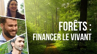 Investir dans la forêt  Documentaire [upl. by Eelyab]