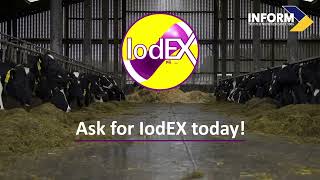 IodEX protected Iodine Why Use IodEX from Inform Nutrition [upl. by Yretsym]