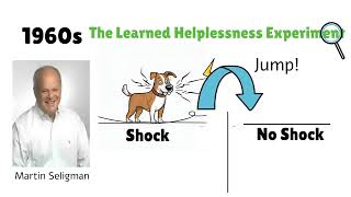 Seligmans Learned Helplessness Experiment Understanding Despair and Resilience [upl. by Durston]